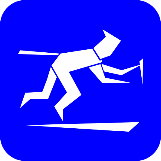 Bungee running